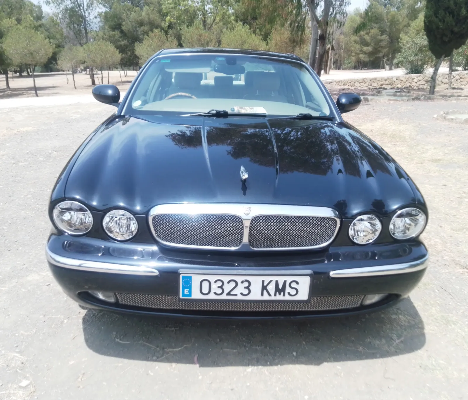 IMG 20250603 145943